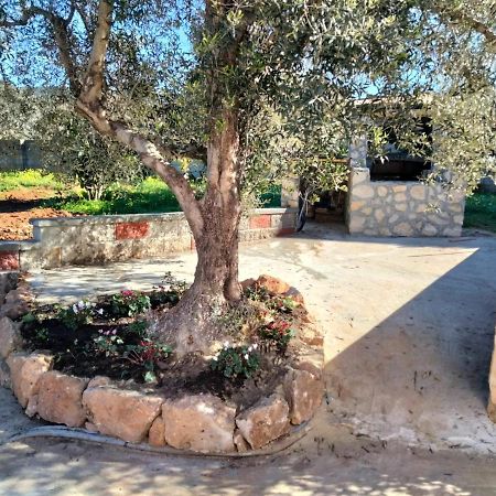 Sgm Casa Vacanze Masainas المظهر الخارجي الصورة