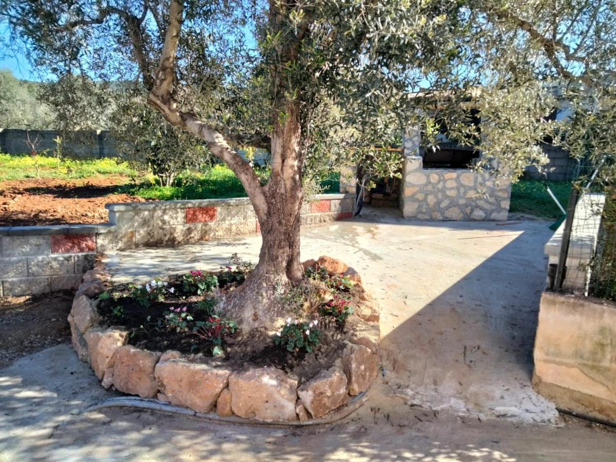 Sgm Casa Vacanze Masainas المظهر الخارجي الصورة